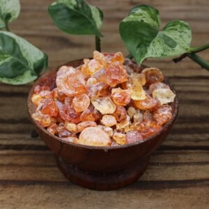 6XHS59HV_PYUUZEZD Nexgencare Limited Gum Acacia (Gum Arabic)